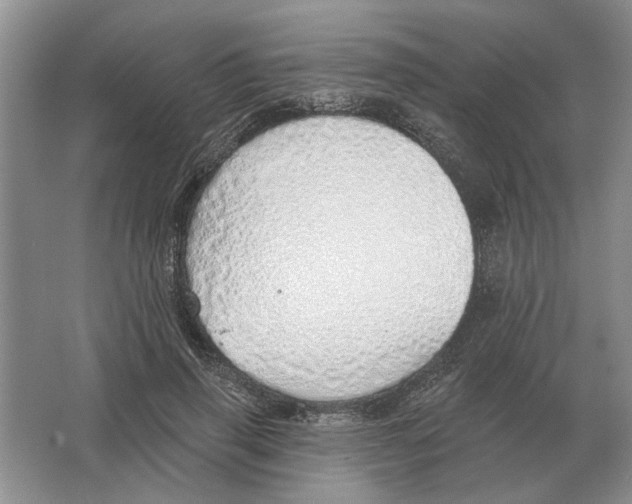 X0000063450645200602171859