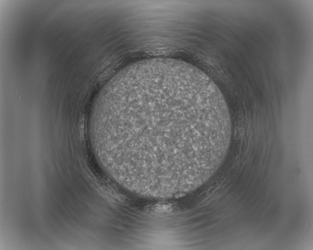 X0000063450647200602171859