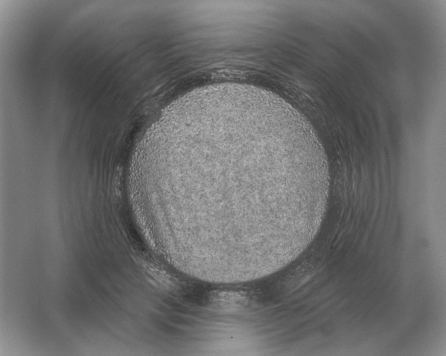 X0000063450649200602171859