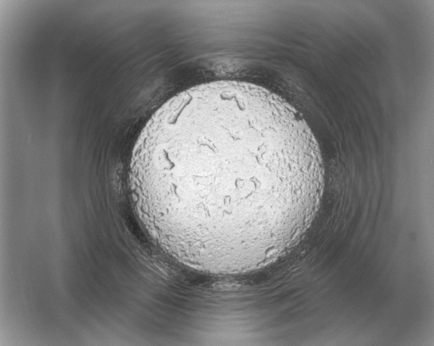 X0000063450650200602171859