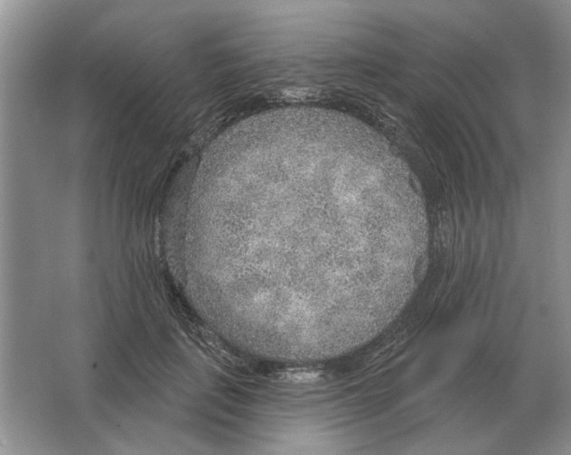 X0000063450651200602171859