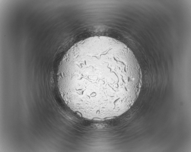 X0000063450654200602171859