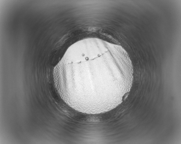 X0000063450656200602171859