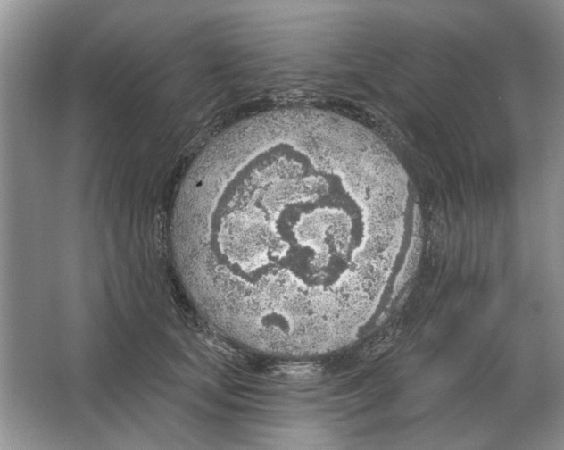 X0000063450659200602171859