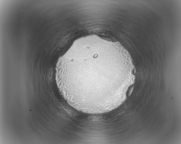 X0000063450660200602171859