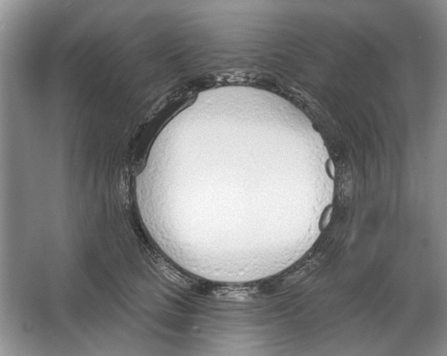 X0000063450661200602171859