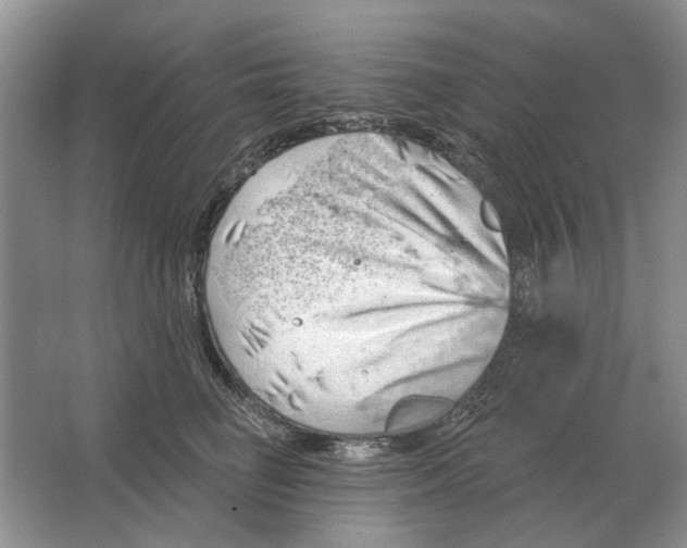 X0000063450662200602171859