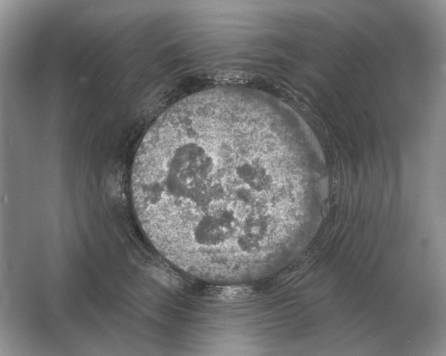 X0000063450663200602171859