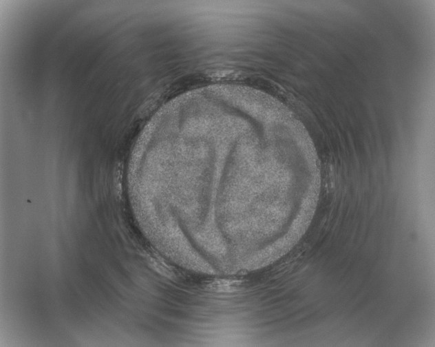 X0000063450664200602171859