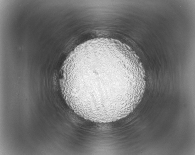 X0000063450667200602171859