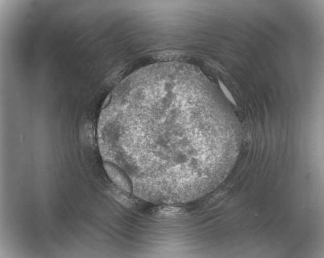 X0000063450669200602171900