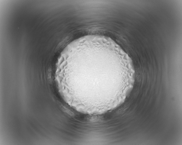 X0000063450670200602171900