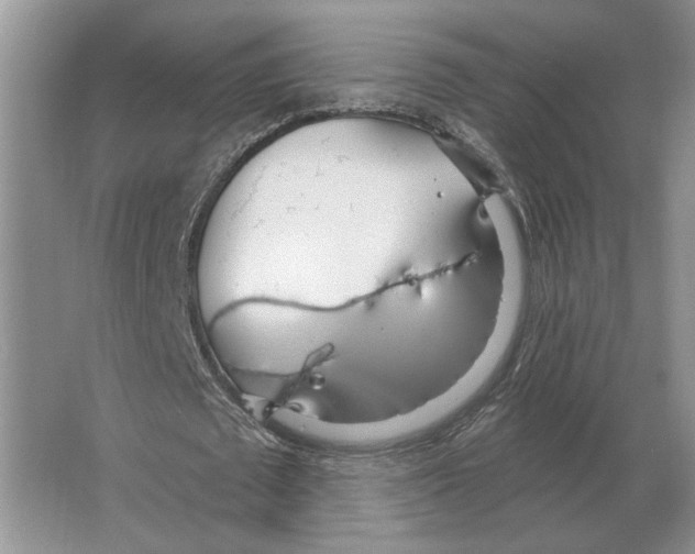 X0000063450673200602171859