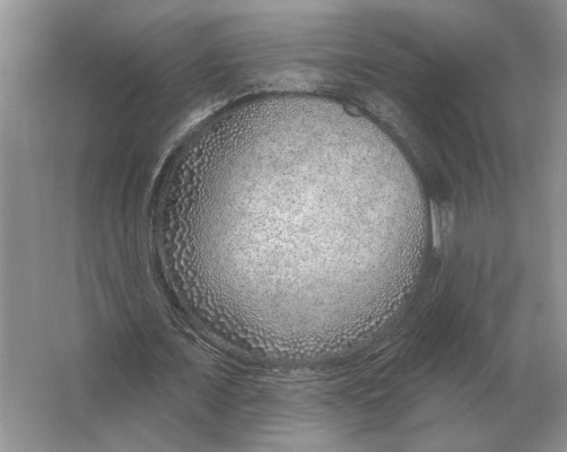 X0000063450675200602171859