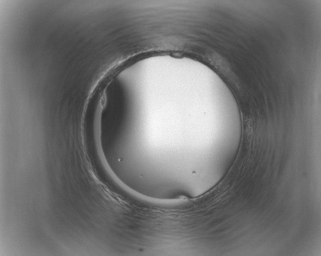 X0000063450676200602171859