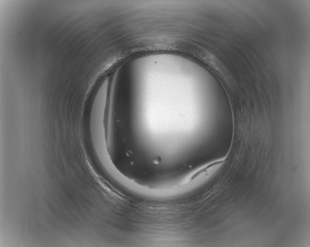 X0000063450677200602171859