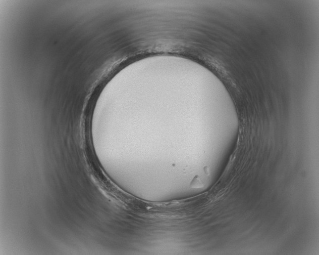 X0000063450678200602171859