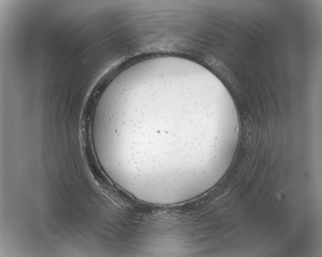 X0000063450680200602171859