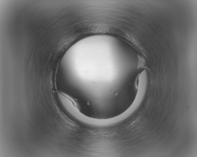 X0000063450681200602171859