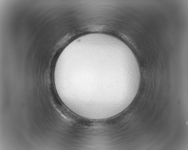 X0000063450682200602171859