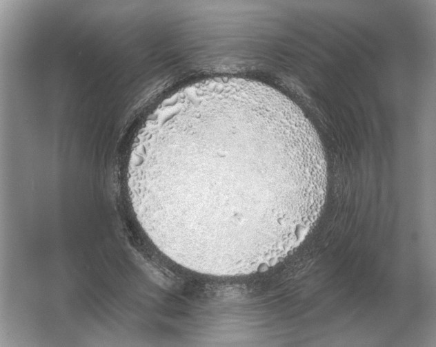 X0000063450683200602171859