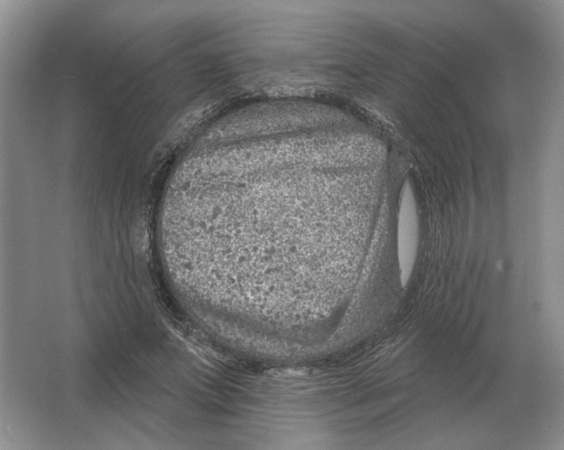 X0000063450687200602171858