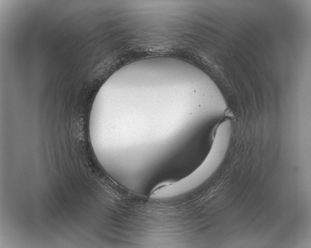 X0000063450689200602171858