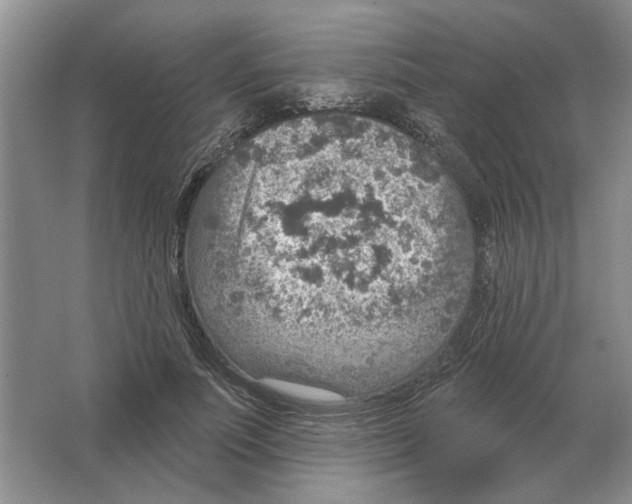 X0000063450691200602171858