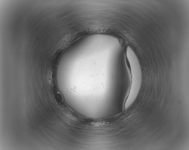 X0000063450693200602171858