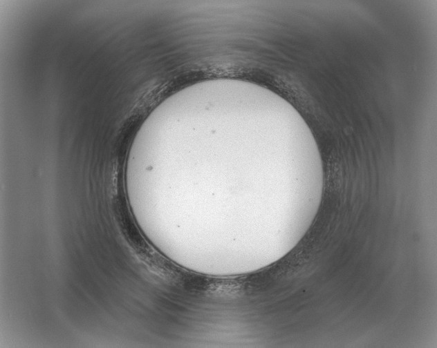 X0000063450694200602171858