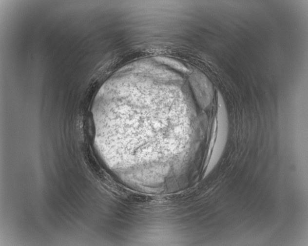 X0000063450696200602171858