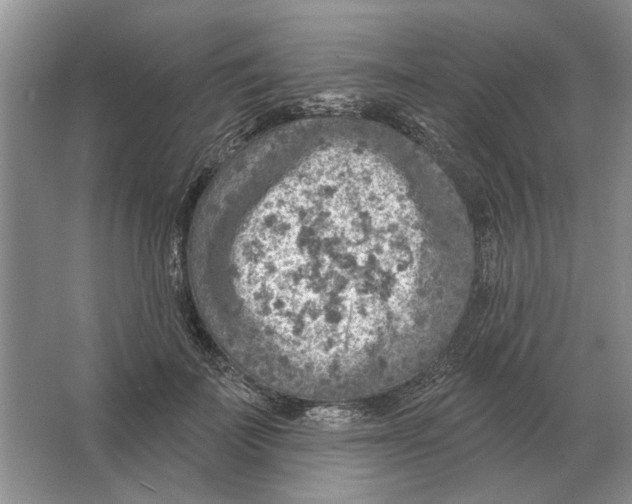 X0000063450699200602171858