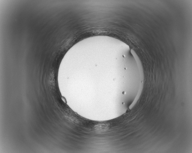 X0000063450700200602171858