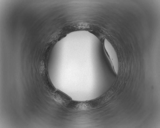 X0000063450704200602171858