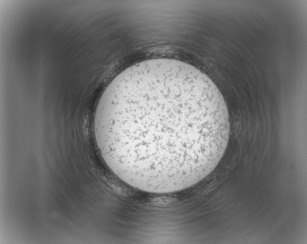 X0000063450708200602171858