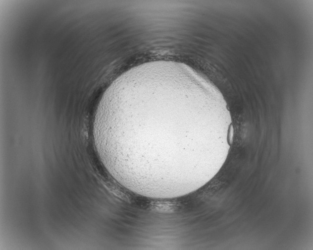 X0000063450710200602171858