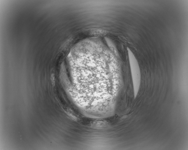 X0000063450716200602171858