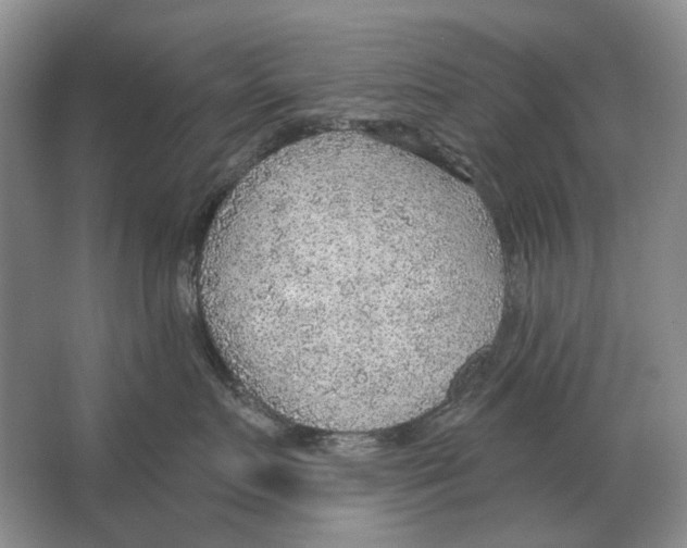 X0000063450719200602171858