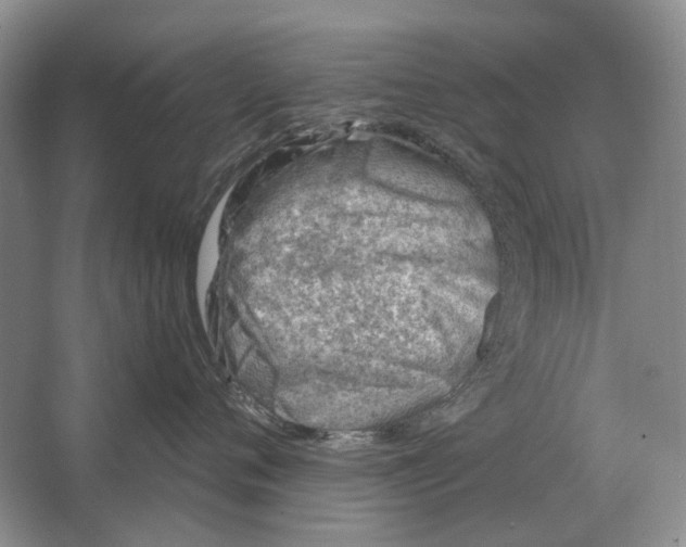 X0000063450720200602171858