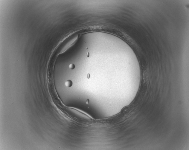 X0000063450722200602171857