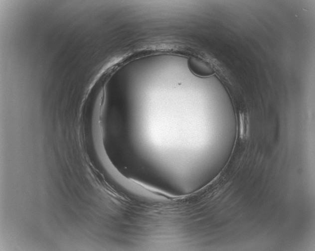 X0000063450723200602171857