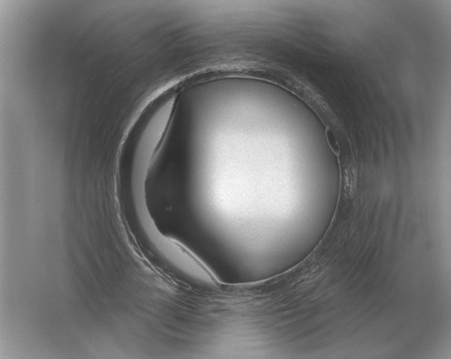 X0000063450724200602171857