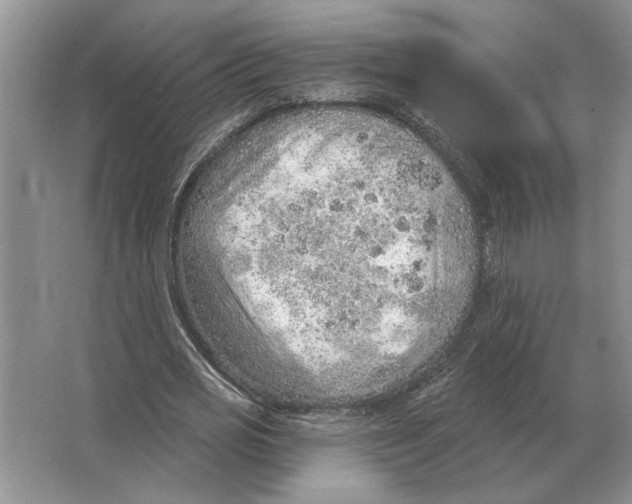 X0000063450725200602171857