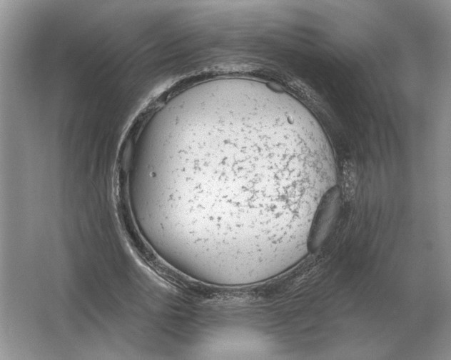 X0000063450726200602171857