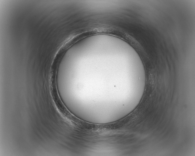 X0000063450730200602171857