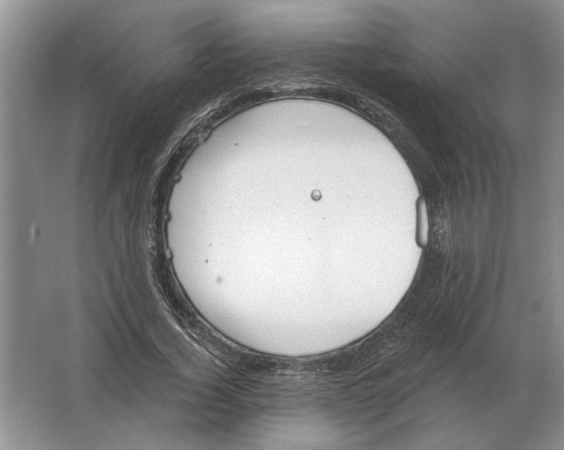 X0000063450732200602171857