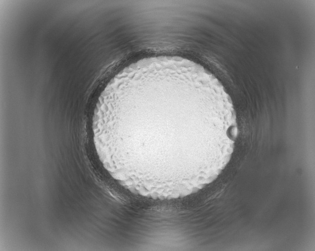 X0000063450733200602171857