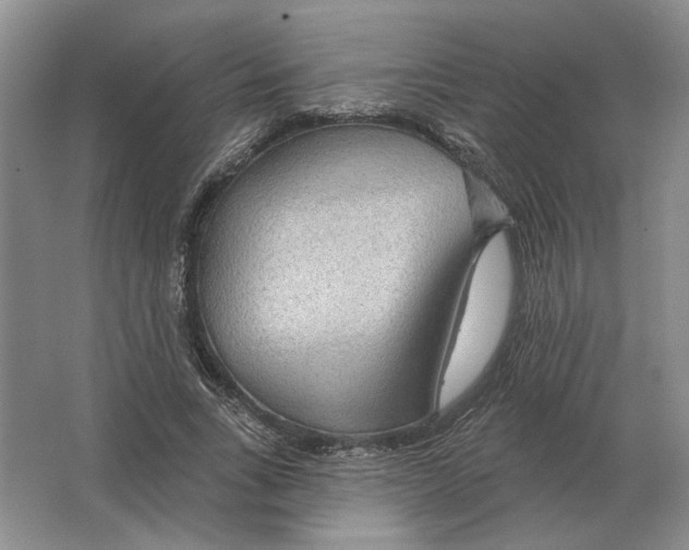 X0000063450735200602171857