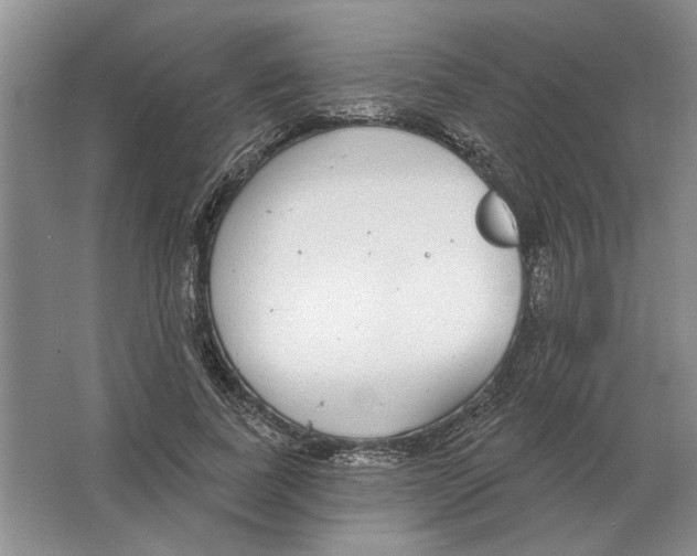 X0000063450739200602171857