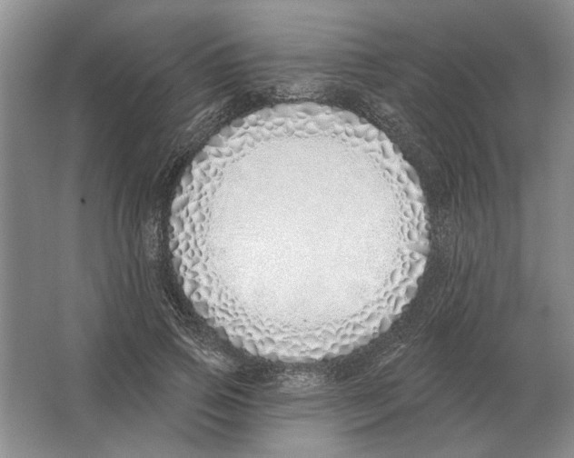 X0000063450741200602171857